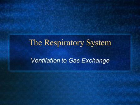 The Respiratory System