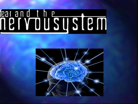 Why the Nervous System Is Important? Gives us our sense of touch, pain, heat, and cold. Gives us our sense of touch, pain, heat, and cold. Gives us movement.