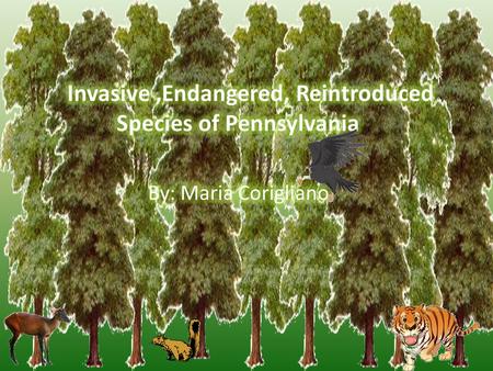 ENDANGERED SPECIES ENDANGERED SPECIES- A SMALL NUMBER OF SPECIES PRESENT, AT RISK OF EXTINCTION Most Common Reasons for Endangerment: 1. Habitat Loss.