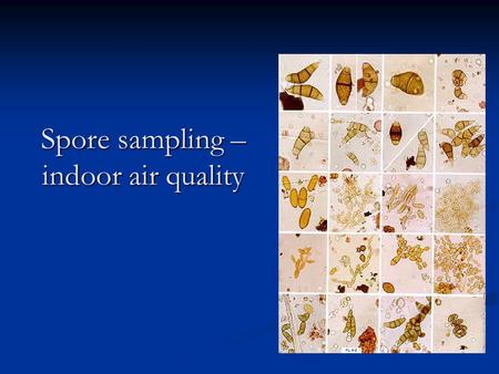 Spore sampling – indoor air quality