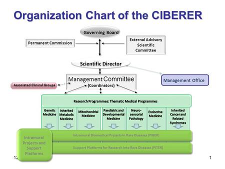 121 Intramural Biomedical Projects in Rare Diseases (PIBER) Support Platforms for Research into Rare Diseases (PITER) Management Office Scientific Director.