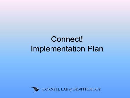 Connect! Implementation Plan. Shift of power – youth want to have control Community based partners must be part of the process Family involvement ‘It’s.