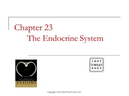 Chapter 23 The Endocrine System