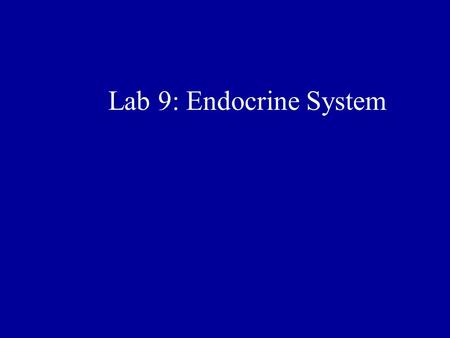 Lab 9: Endocrine System. Review Where does pepsinogen come from? Why doesn’t the stomach digest itself? Why can Veggans not eat meat anymore?