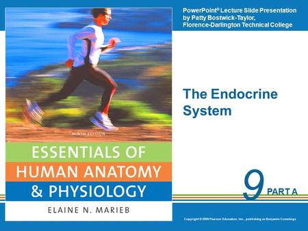 The Endocrine System.