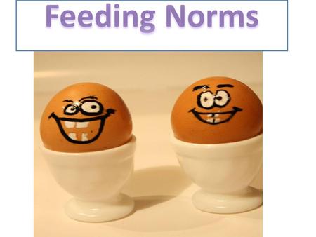 A lot of people don’t know a thing about feeding. They eat what they’ve got in the fridge. However, we should remember about healthy eating !