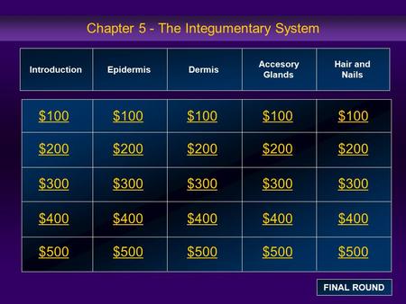 Chapter 5 - The Integumentary System $100 $200 $300 $400 $500 $100$100$100 $200 $300 $400 $500 IntroductionEpidermisDermis Accesory Glands Hair and Nails.