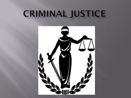 There are two levels of crime:  Misdemeanors – Minor Crimes such as theft of low valued items (Under the value of $250.00) and traffic violations  Felonies.