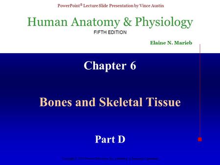 Human Anatomy & Physiology FIFTH EDITION Elaine N. Marieb PowerPoint ® Lecture Slide Presentation by Vince Austin Copyright © 2003 Pearson Education, Inc.