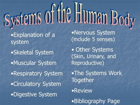 Systems of the Human Body