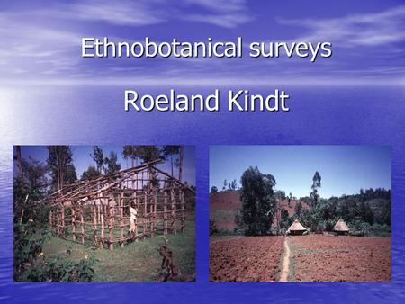 Ethnobotanical surveys