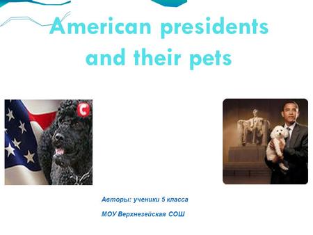 American presidents and their pets Авторы: ученики 5 класса МОУ Верхнезейская СОШ.