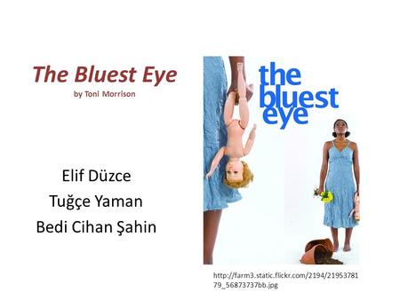 The Bluest Eye by Toni Morrison