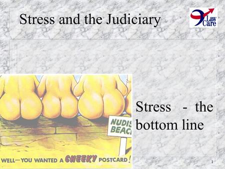 1 Stress and the Judiciary Stress - the bottom line.