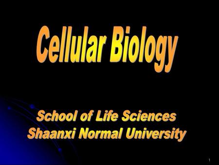 1. 2 CHAPTER 3 CELL ENGINEERING TECHNOLOGIES 1.Cell fusion, hybridization, and mAb 2.PCR, RT-PCR and real time PCR 3.Gene cloning, expression, and gene.