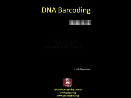 DNA Barcoding Dolan DNA Learning Center www.dnalc.org www.greenomes.org www.thelilygarden.com.