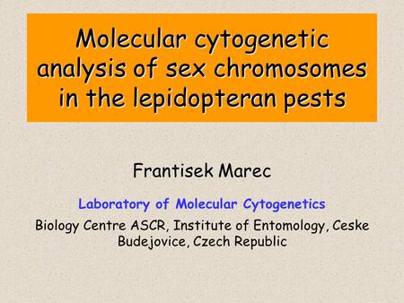 Molecular cytogenetic analysis of sex chromosomes in the lepidopteran pests Frantisek Marec Laboratory of Molecular Cytogenetics Biology Centre ASCR, Institute.