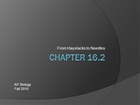 From Haystacks to Needles AP Biology Fall 2010. Isolating Genes  Gene library: a collection of bacteria that house different cloned DNA fragments, one.