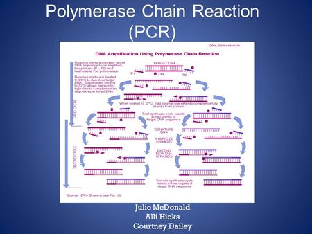 Polymerase Chain Reaction (PCR)