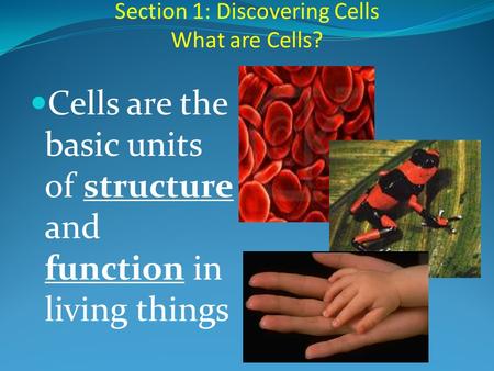 Section 1: Discovering Cells What are Cells?