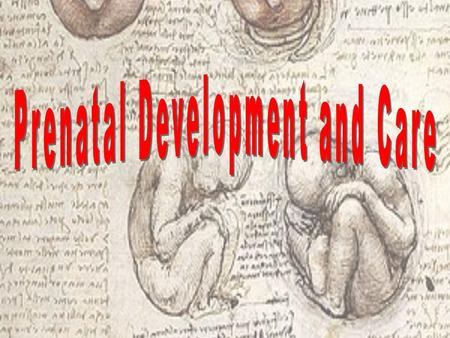 Prenatal Development and Care