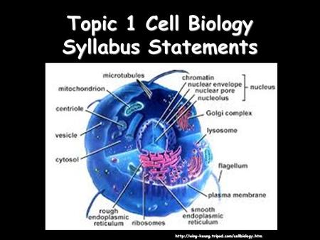 Topic 1 Cell Biology Syllabus Statements