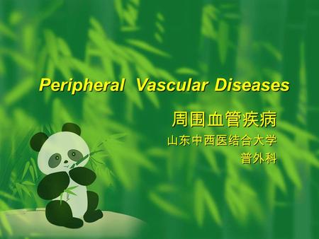 Peripheral Vascular Diseases 周围血管疾病山东中西医结合大学普外科. Thromboangitis Obliterans （ Buerger‘s Disease ）  ETIOLOGY External---cigarette smoking ， frigid irritation.