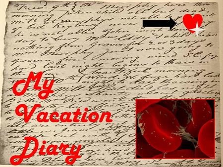 My Vacation Diary.