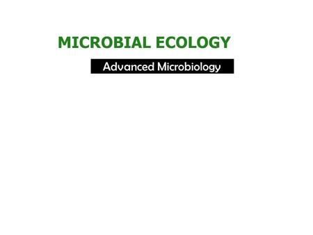 Advanced Microbiology MICROBIAL ECOLOGY. Population, Guilds, and Communities In nature, individual microbial cells grow to form populations. Metabolically.