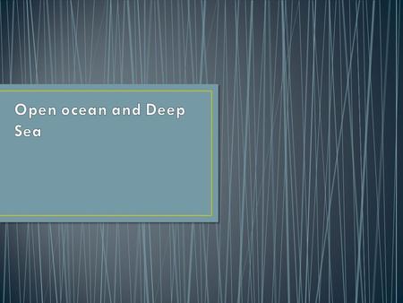 The uppermost layer of the world's oceans is bathed in sunlight during the daytime. photic zone, euphotic zone (euphotic means well lit in Greek) or.