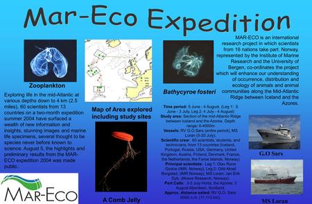 Bathycyroe fosteri MAR-ECO is an international research project in which scientists from 16 nations take part. Norway, represented by the Institute of.