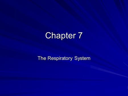 The Respiratory System