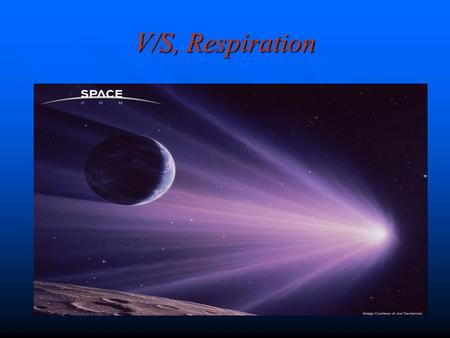 V/S, Respiration. Function of the Lungs Provide transfer of Oxygen form air to bloodProvide transfer of Oxygen form air to blood Inhaled=21%Inhaled=21%