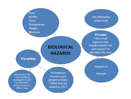 COMMON FOOD ALLERGIES Dairy products Wheat products (including flour) Fish Shellfish Peanut and peanut products Soy and soy derivatives Eggs Seeds;