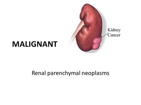 Renal parenchymal neoplasms