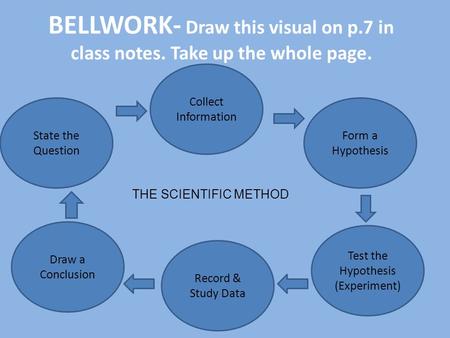 Test the Hypothesis (Experiment)