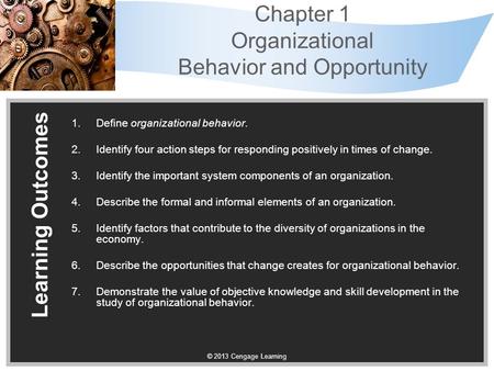 Chapter 1 Organizational Behavior and Opportunity