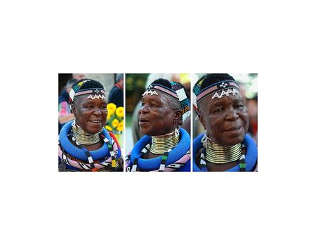 ------------- Image1 ------------- Field Data Title Esther_Mahlangu Description Esther Mahlangu is an artist from the Ndebele community in the Gauteng.