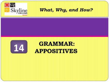 What, Why, and How? 14 GRAMMAR: APPOSITIVES.