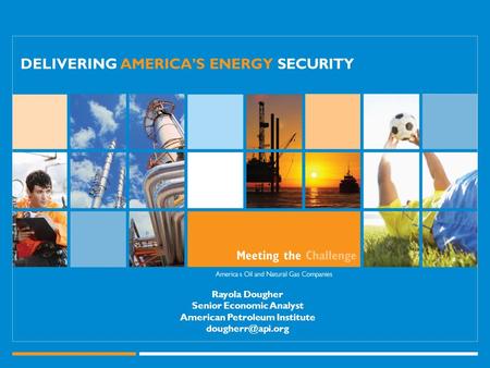 Rayola Dougher Senior Economic Analyst American Petroleum Institute