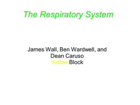 The Respiratory System James Wall, Ben Wardwell, and Dean Caruso Yellow Block.