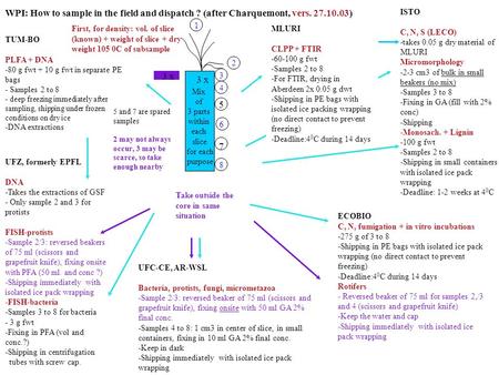 Mix of 3 parts within each slice for each purpose 1 2 3 4 6 8 TUM-BO PLFA + DNA -80 g fwt + 10 g fwt in separate PE bags - Samples 2 to 8 - deep freezing.