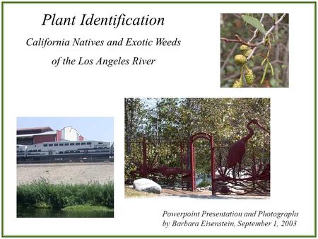 Plant Identification California Natives and Exotic Weeds