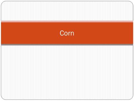 Corn.