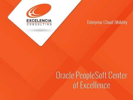 Overview  Established in 2005, Chennai India  Began US operations in 2012, Austin, TX and Chicago, IL  ISO 9001:2008 Certified and gearing towards.