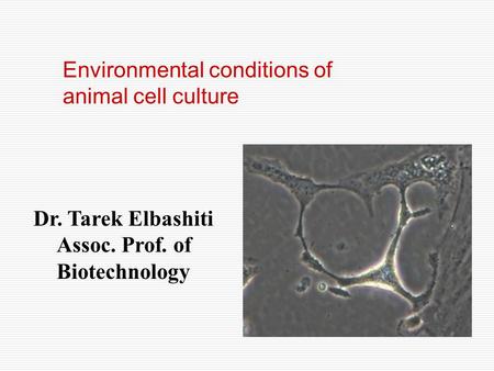 Assoc. Prof. of Biotechnology