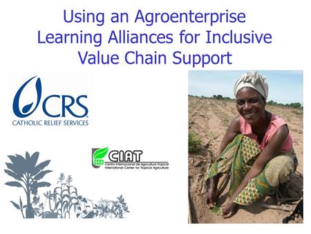 Using an Agroenterprise Learning Alliances for Inclusive Value Chain Support.