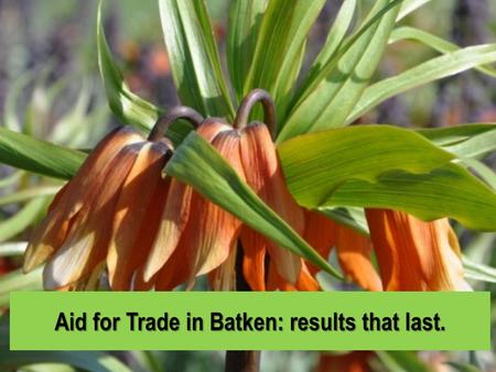 Aid for Trade in Batken: results that last.. Batken Province Batken is a region in the south of Kyrgyzstan, which borders with Uzbekistan in the north.