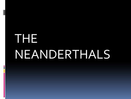 THE NEANDERTHALS.