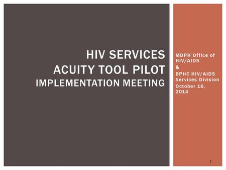 MDPH Office of HIV/AIDS & BPHC HIV/AIDS Services Division October 16, 2014 1 HIV SERVICES ACUITY TOOL PILOT IMPLEMENTATION MEETING.